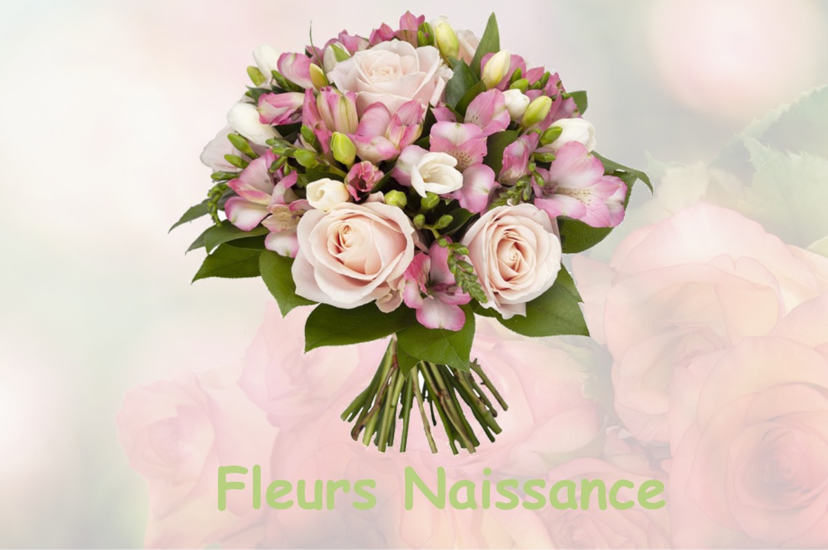 fleurs naissance OUZOUER-SUR-TREZEE