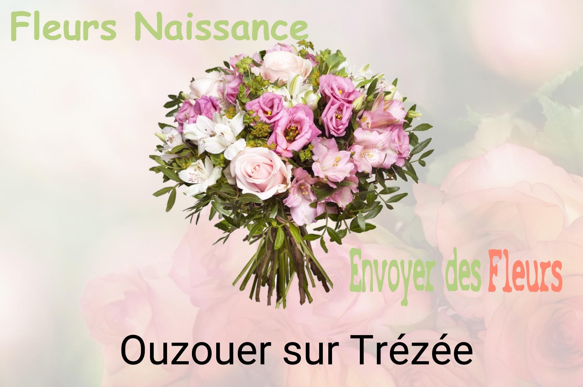 Bouquet de fleurs de naissance livré à Ouzouer-sur-Trézée
