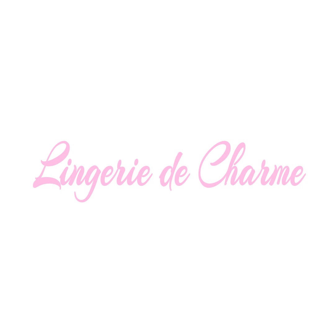 LINGERIE DE CHARME OUZOUER-SUR-TREZEE