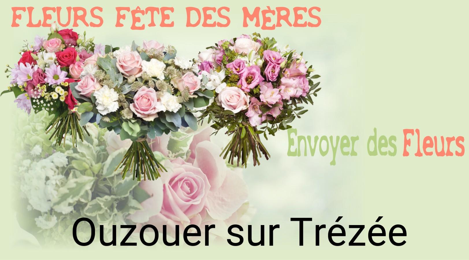 Bouquet de Fête des Mères livré à Ouzouer-sur-Trézée